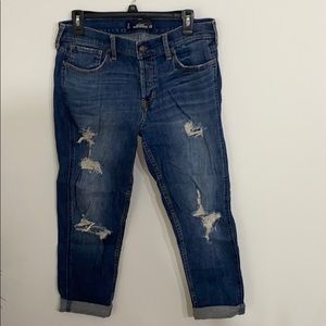 Hollister Excellent condition